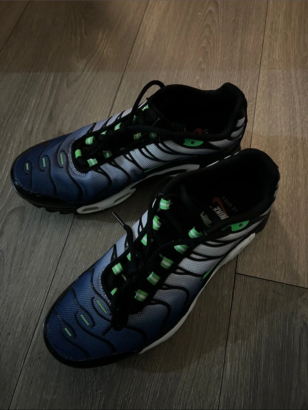 Nike Air Max Plus 'Icons - Black / Blue / Scream Green